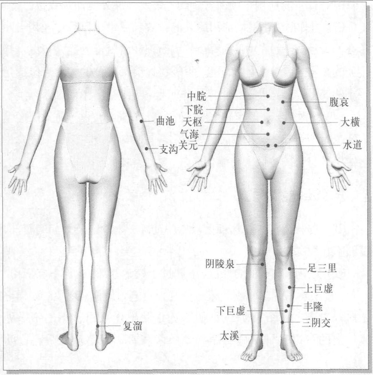 第五節(jié) 芒針法減肥操作